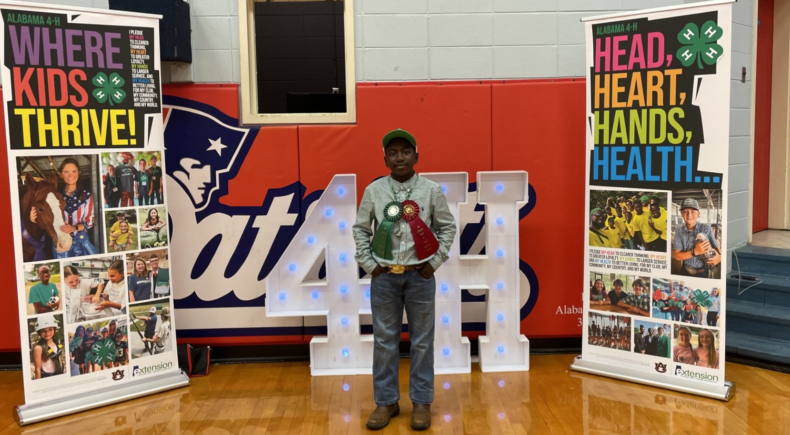 4-H competition